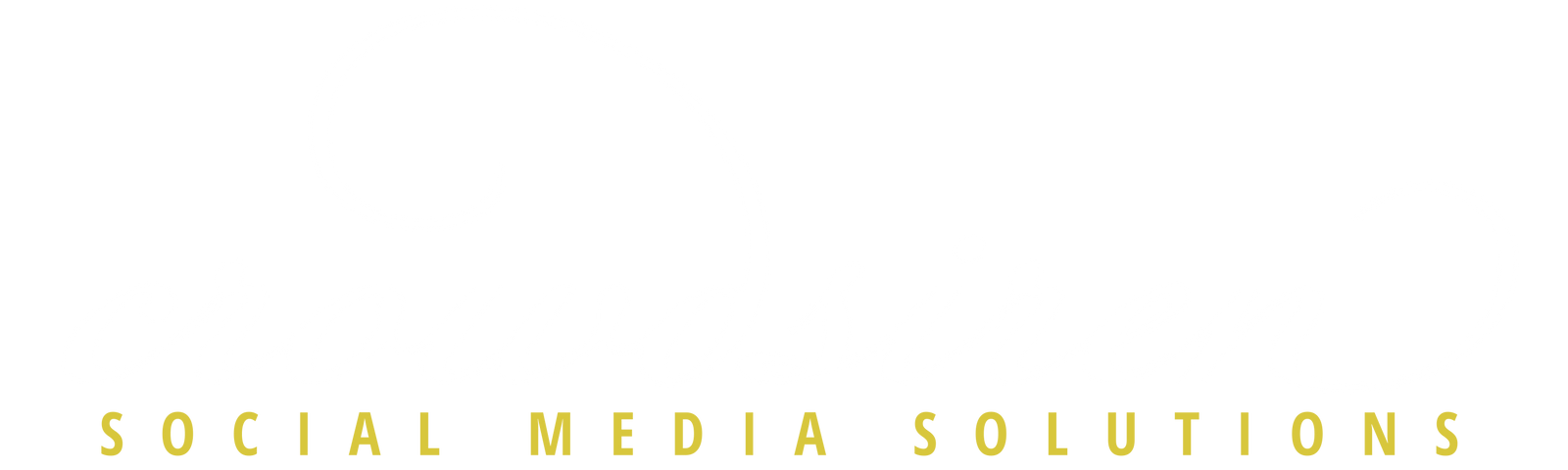 Crowd Siren — Social Media Solutions